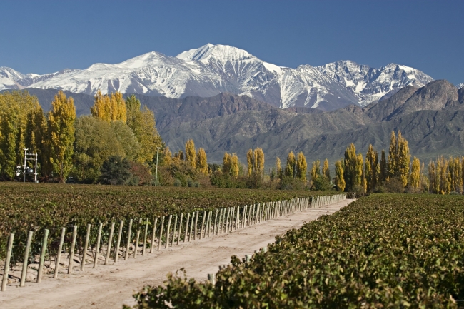 Mendoza y San Rafael - Temporada Baja 