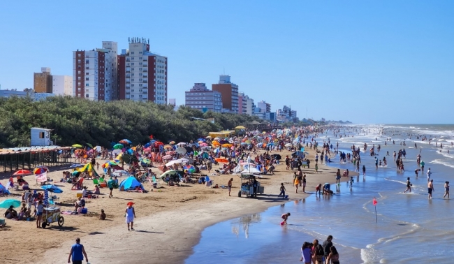 San bernardo - Navidad