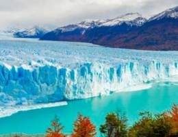 EL CALAFATE 